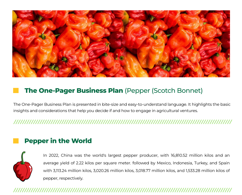 Pepper (Scotch Bonnet)