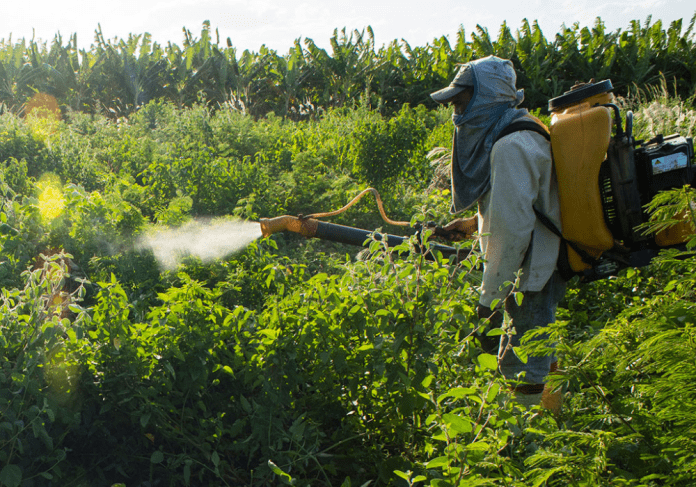 Banned Chemicals Still Used in Brazil Mega Farms