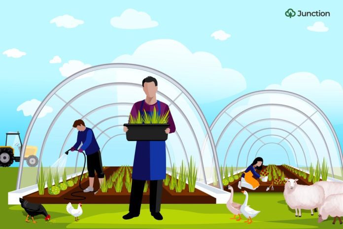 Agriculture and economy