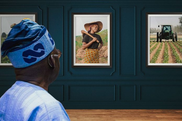 President Tinubu Targets 500,000 Hectares Cultivation To Tackle Food Insecurity
