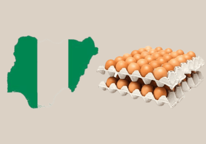 Egg Glut: Nigeria 20 Million Egg Crates Excess