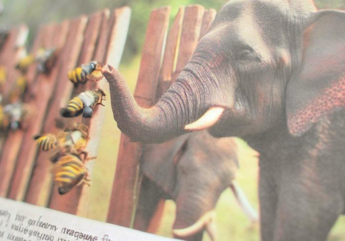 Kenyan Farmers Employ Bees To Stop Elephants Invading Farms