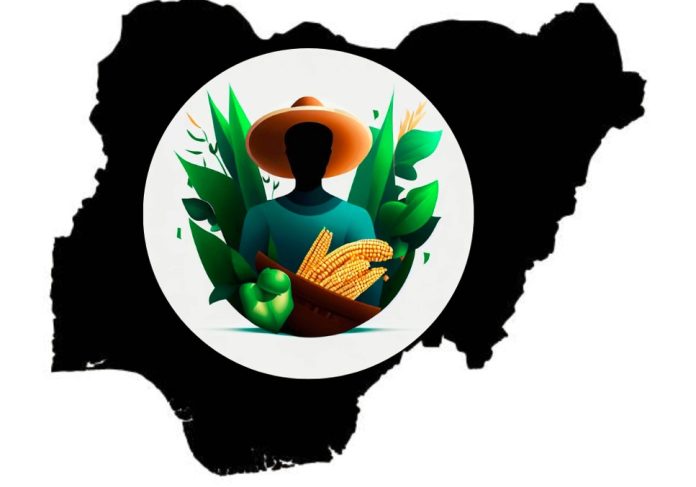 Nigeria Agriculture GDP Falls In Q1 2023