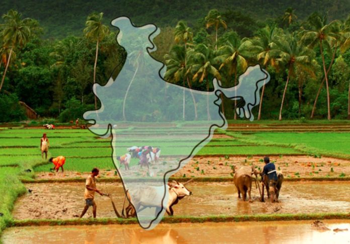 52% Of India's Agricultural Land Has Access To Irrigation