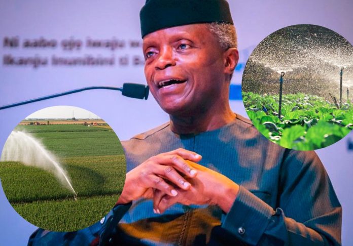 How Nigeria's Multi-Billion Irrigation Scheme Benefits Farmers?