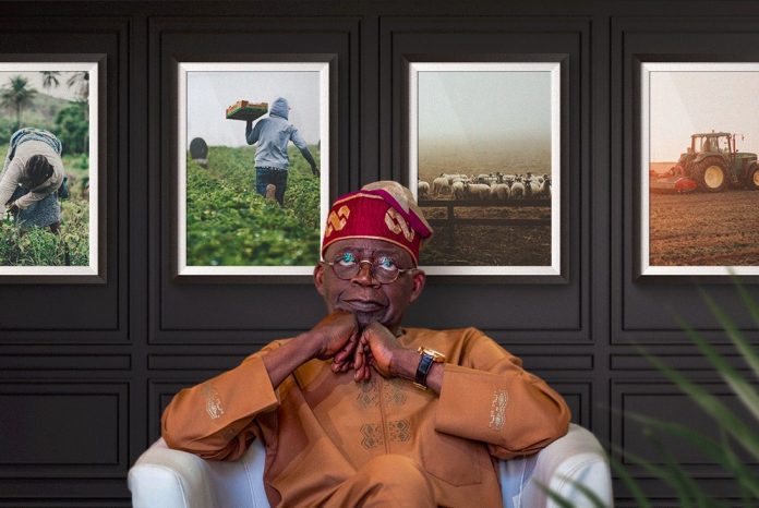Nigeria Aims To Become Net Food Exporter Through 'Aggressive Mechanisation', Says President Tinubu