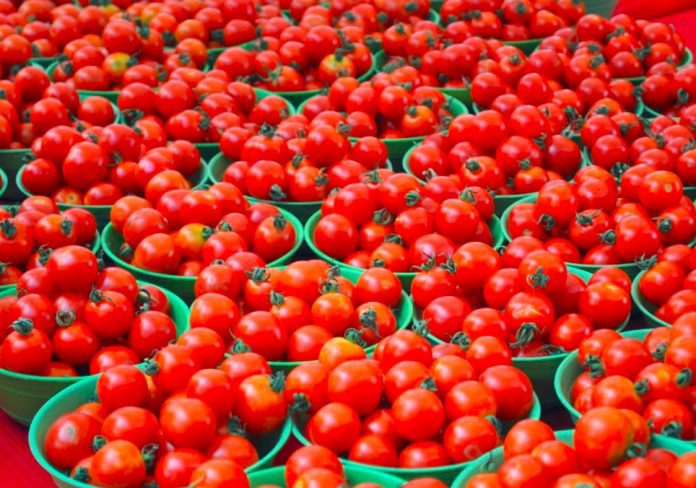 Nigeria To Revitalise Tomato Sector With Policy Roundtable