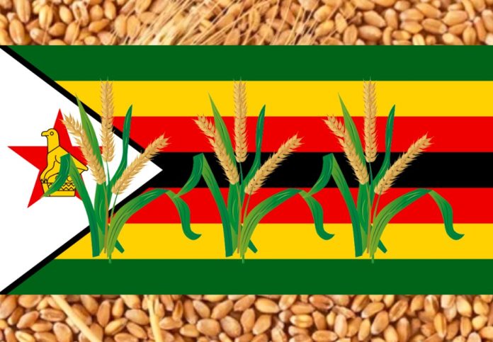 Zimbabwe Opens Wheat Crop To More Private Sector Participation