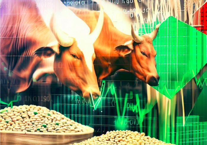 CBN New Forex Policy: Good Or Bad For Agriculture