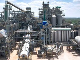 Top Fertiliser Stocks Show Profit After 6 Months In Red