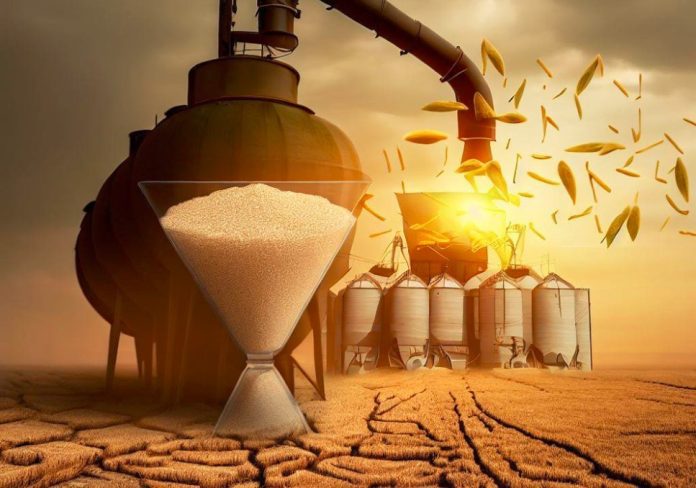 Fertiliser Companies Made 36% Profit In 2022 As Food Prices Rise