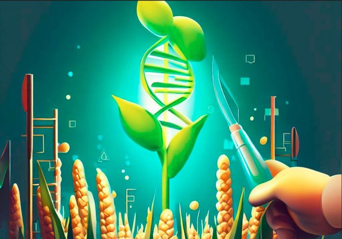 EU Could Relax GMO Restrictions But Opposition Remains Strong