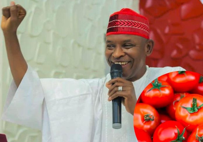 Kano Governor Reiterates Plan To Subsidise Fertiliser For Farmers