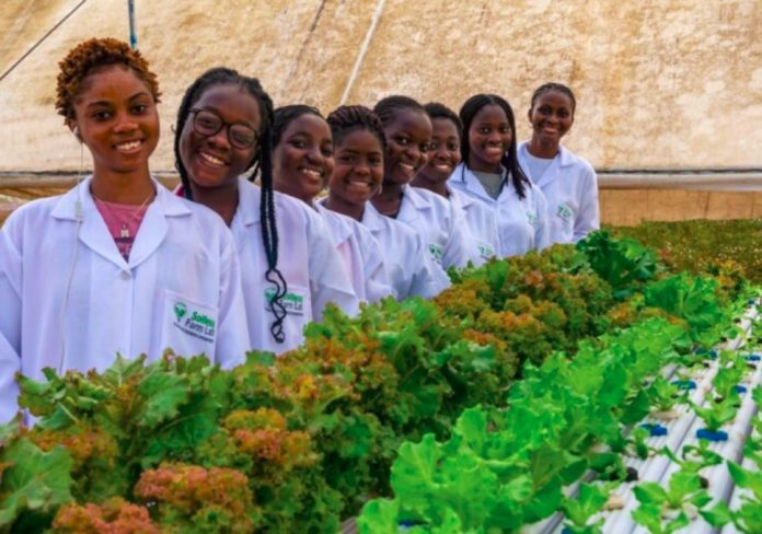 Mastercard Foundation,Â Soilless Farm lab Train 2,000 Youths On Sustainable Agriculture