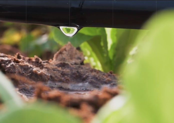 Agritech Company N-Drip Raises $44M In Funding Round