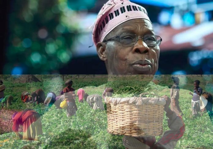 Ex-President Obasanjo Decries Double-Digit Interest Agriculture Loans