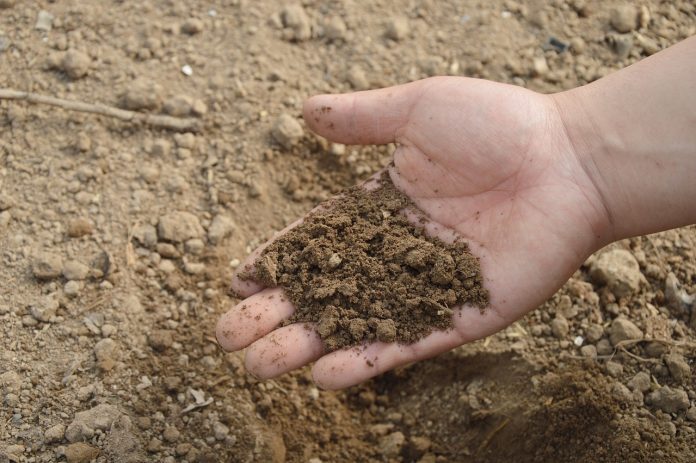 Biotech Startup Bioomix Raises â¬6.3m To Make Agriculture More Sustainable