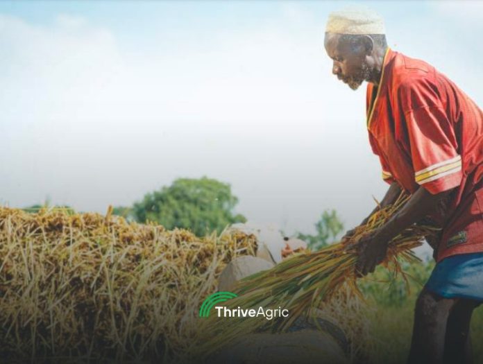 ThriveAgric Reports $100M Financing For Over 500,000 African Farmers In 2022