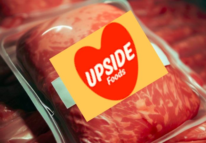 Cultivated Meat Startup Upside Foods Gets USDA Approval