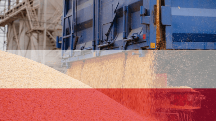 Poland Hints Unilateral Ban On Ukraine Agricultural Products