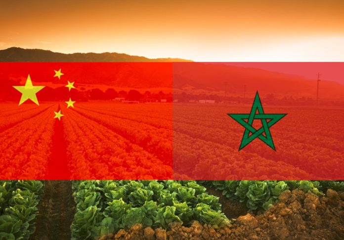 China, Morocco Sign Bilateral MoU On Agriculture
