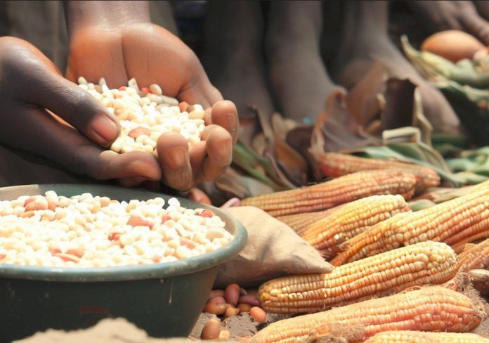 DR Congo Has World's Most Food Insecure People