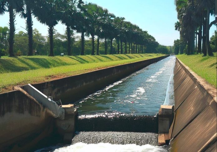 Kano Government Plan Irrigation Of 200 Hectares