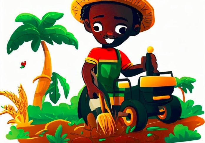 ghana food