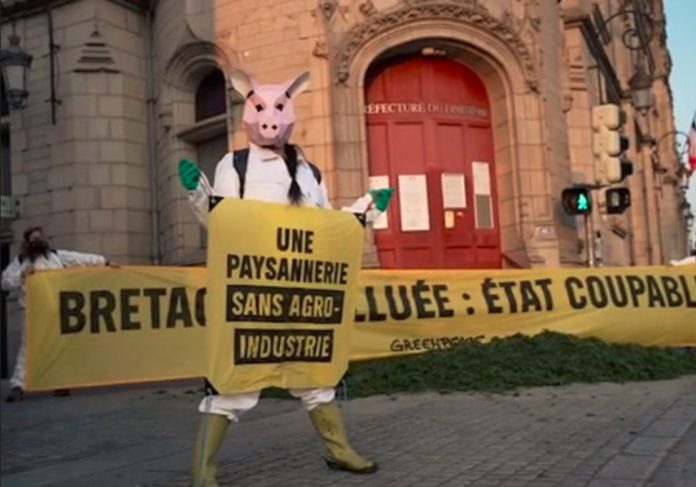 Greenpeace Activists Protest Factory Farming Practices In France