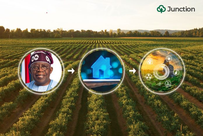 How can Nigeria derive real impact from agriculture development interventions?Â 