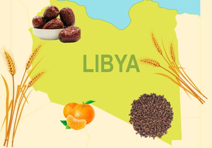 AfDB Reaffirms Commitment To Boosting Food Security In Libya