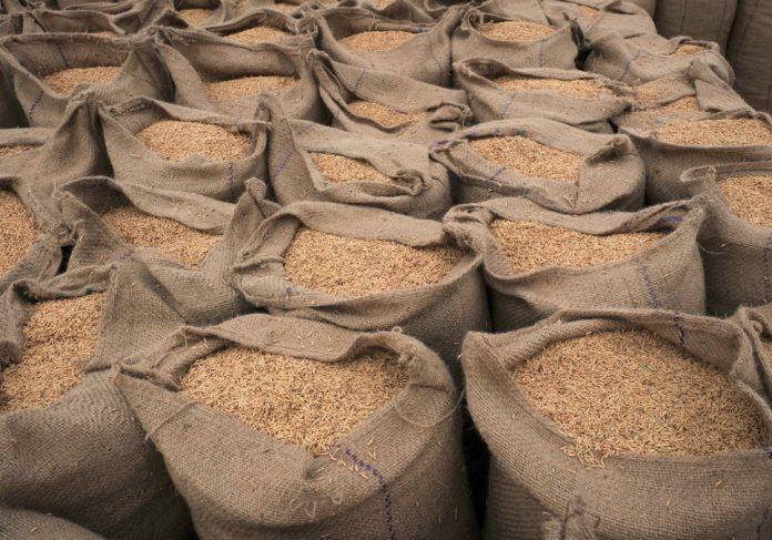 Global Rice Prices Soar To Record Highs In 2023