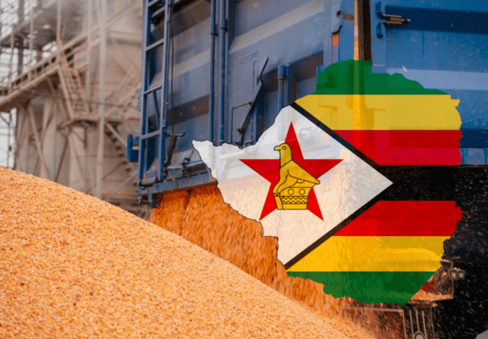 Zimbabwe corn export