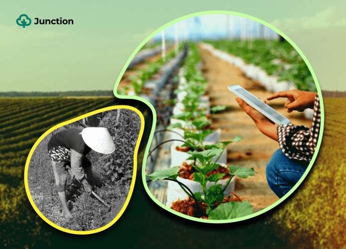 A case for Mediumholder agriculture in Nigeria