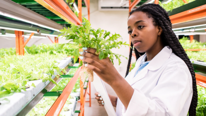 UK Announces Fresh Funding For Two New Agriculture Research, Feasibility Competitions