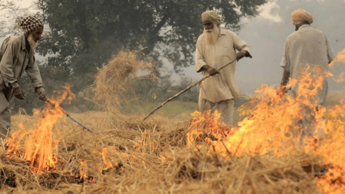 crop burning Stubble burning is a major contributor to air pollution in northern India, and farmers remain reluctant to abandon the practice.
