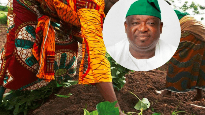 Plateau State Governor Orders Cultivation Of 900 Hectares To Tackle Food Crisis