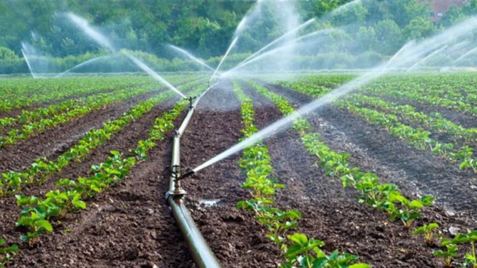 River Basin Development Authority Has Injected â¦198B Into Nigeria's Economy