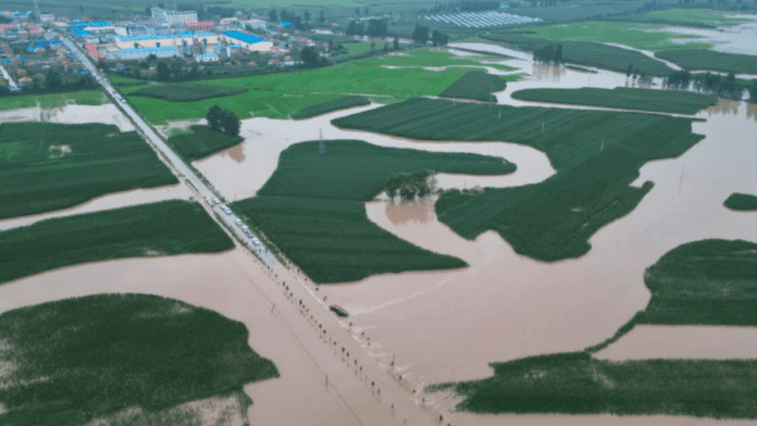 Heavy Rains Submerge Farmlands, Destroy Crops in China's Grain Region
