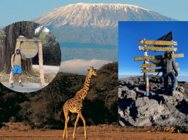 6 Things I Learnt Summiting Kilimanjaro - Adefemi Adeniyi