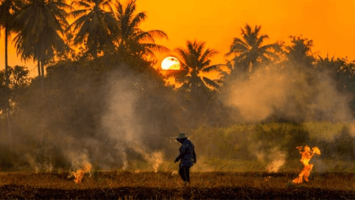 Study Links Agriculture, Wildfires Air Pollution To Dementia