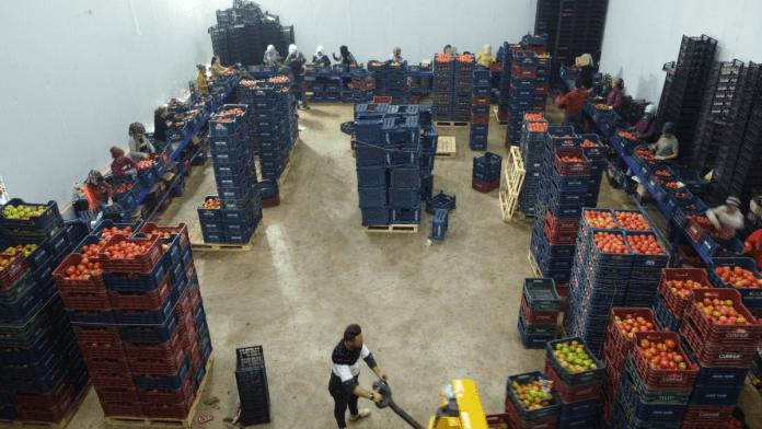 Turkey To Generate $50 Billion From Food, Agricultural Products Exports By 2028