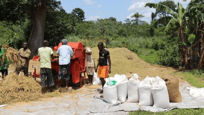 Liberia Completes Phase Towards Improving Agricultural And Rural Statistics