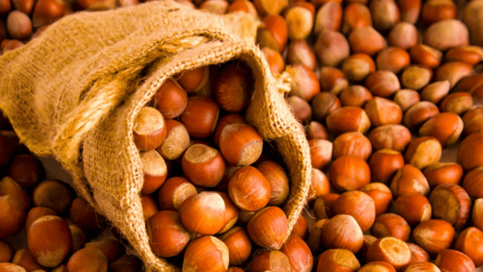 Ban Tropical Crops Cultivation To Save Turkeyâs Black Sea Agriculture - Scientist