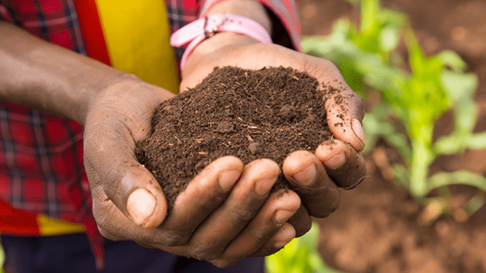 India To Partner US In Developing Agricultural Research