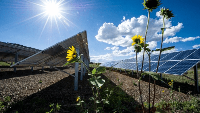 USDA Announces $266 Million Funding For Energy-Efficient Farm Projects