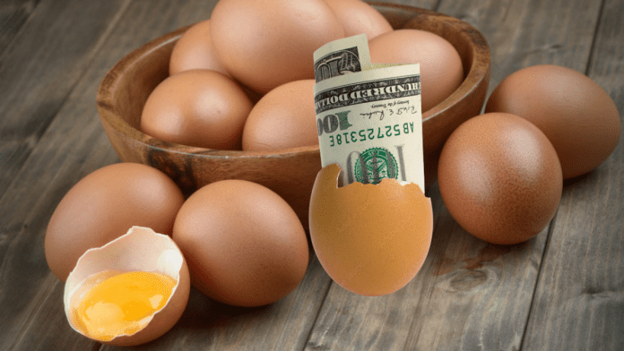 Taiwan Raises Egg Prices To Cover Production Costs, Meet Demand