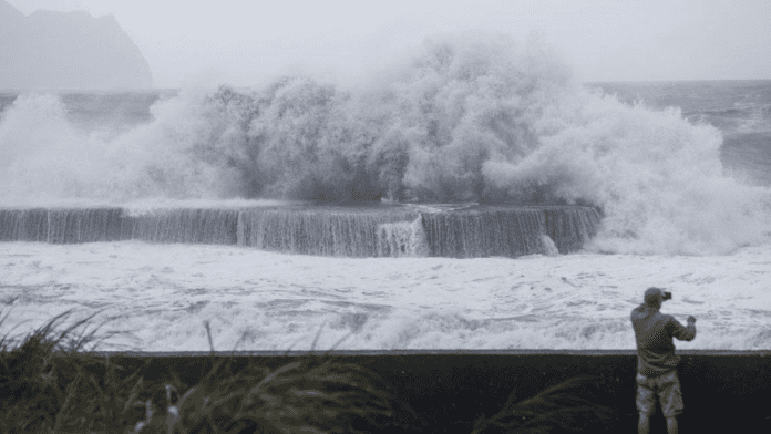 Typhoon Haikui Wrecks East Taiwan's Agriculture, Causes $19M Loss