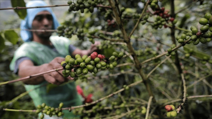 Tanzania Ministers Call For Increased Youth Engagement In Agriculture