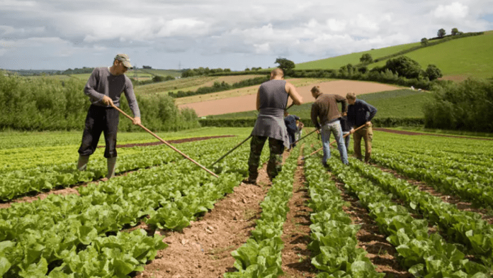US Farm Bill Renewal Stalled As Republicans Seek To Extend Subsidies For Southern Crops